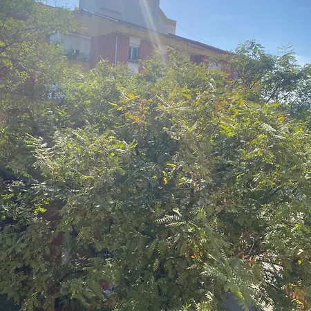 Rum i privatbostad Shared Apartment! Piso Compartido! общая квартира! *